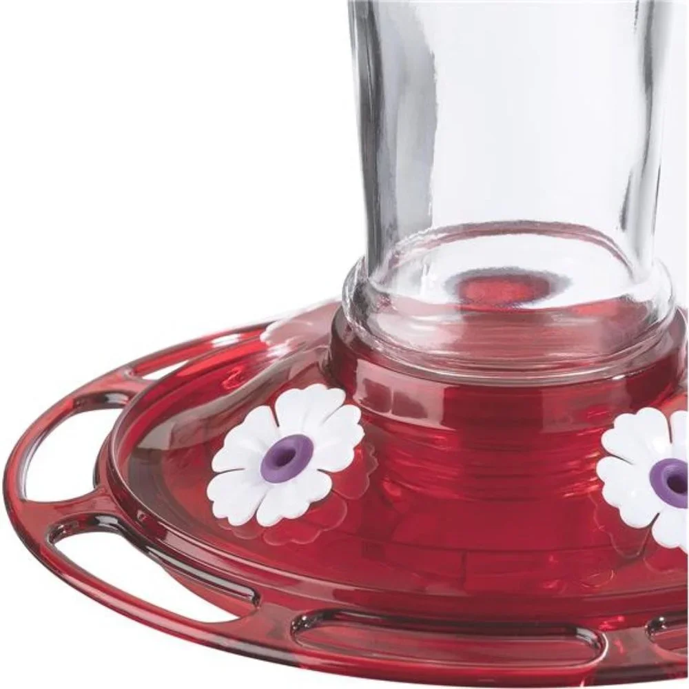 Bird Health+ Ruby Hummingbird Feeder, Glass Hummingbird Feeders for Outdoors
